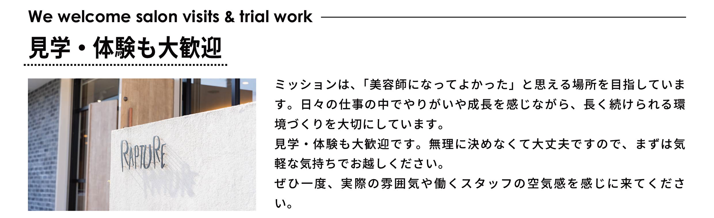 MISSIONのメッセージ2